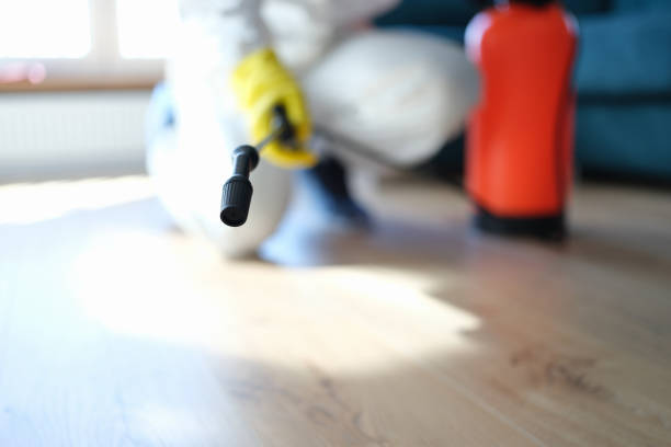 Trusted Springfield, OR Mold Removal Experts